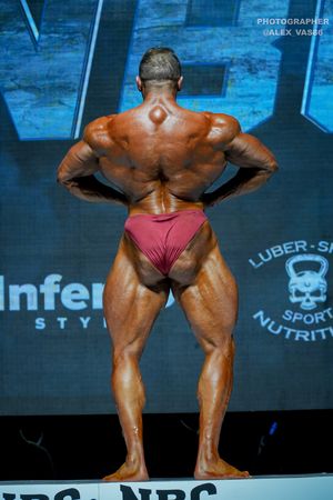 BODYBUILDING +100